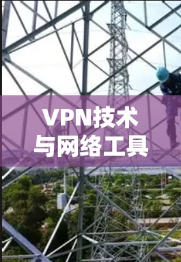 VPN技术与网络工具开发指南