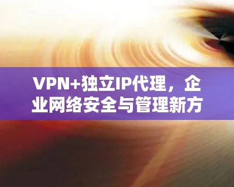VPN+独立IP代理，企业网络安全与管理新方案