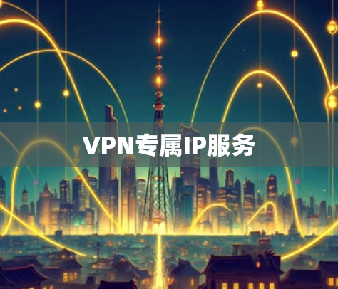 VPN专属IP服务 VPN专属IP服务