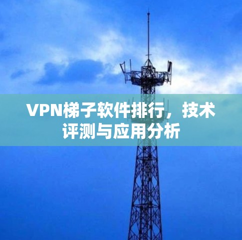 VPN梯子软件排行，技术评测与应用分析