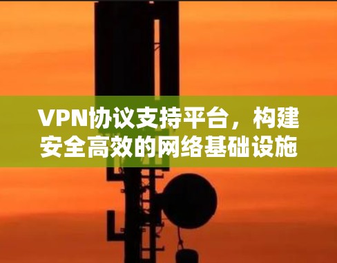 VPN协议支持平台,构建安全高效的网络基础设施 VPN协议支持平台,构建安全高效的网络基础设施