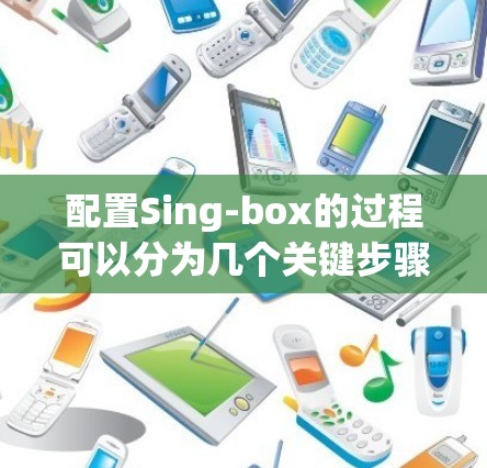 配置Sing-box的过程可以分为几个关键步骤,确保每个环节都正确完成,以实现最佳的音频效果。以下是详细的步骤指南 配置Sing-box的过程可以分为几个关键步骤,确保每个环节都正确完成,以实现最佳的音频效果。以下是详细的步骤指南