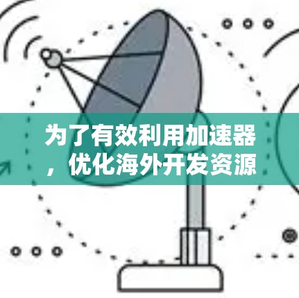 为了有效利用加速器，优化海外开发资源，提升项目开发效率，可以按照以下步骤进行