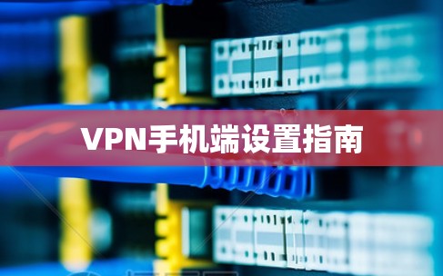 VPN手机端设置指南