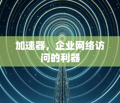 加速器，企业网络访问的利器