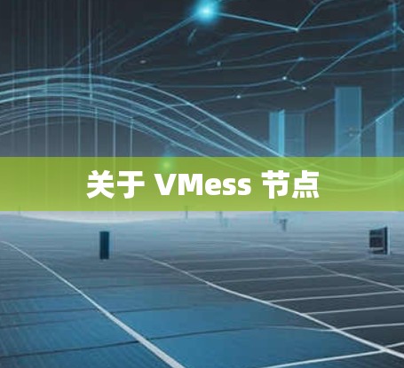 关于 VMess 节点 关于 VMess 节点