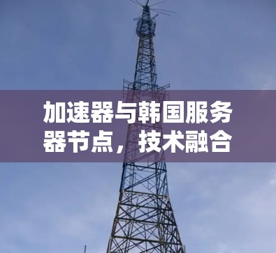 加速器与韩国服务器节点,技术融合赋能通信性能 加速器与韩国服务器节点,技术融合赋能通信性能
