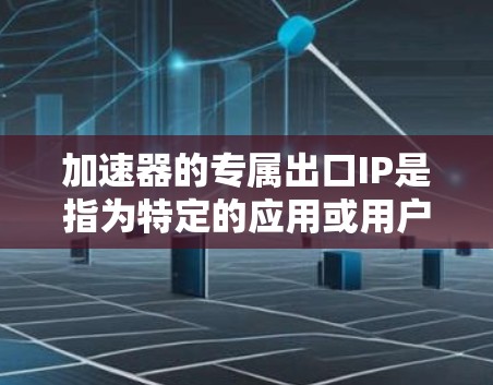 加速器的专属出口IP是指为特定的应用或用户分配的专门出口IP地址，用于优化数据传输速度和可靠性。以下是对这一概念的详细解析