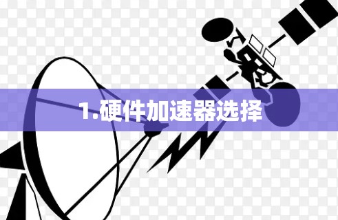 1.硬件加速器选择 1.硬件加速器选择