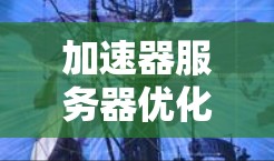 加速器服务器优化方案探索 加速器服务器优化方案探索