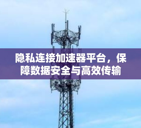 隐私连接加速器平台，保障数据安全与高效传输