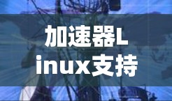 加速器Linux支持,性能优化与应用潜力 加速器Linux支持,性能优化与应用潜力