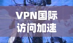 VPN国际访问加速技术探讨，从网络优化到业务创新