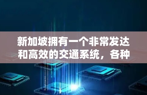 新加坡拥有一个非常发达和高效的交通系统，各种专线交通服务为游客和居民提供了便利。以下是几种主要的专线交通服务，帮助您在新加坡各地轻松出行