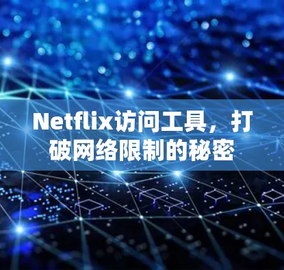 Netflix访问工具,打破网络限制的秘密 Netflix访问工具,打破网络限制的秘密