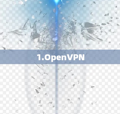 1.OpenVPN 1.OpenVPN