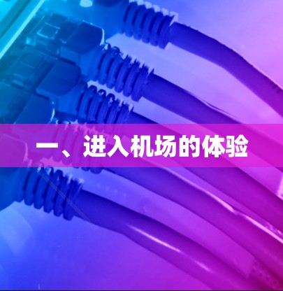 一、进入机场的体验 一、进入机场的体验