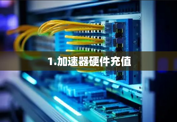 1.加速器硬件充值 1.加速器硬件充值