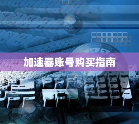 加速器账号购买指南
