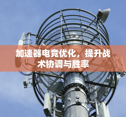 加速器电竞优化，提升战术协调与胜率