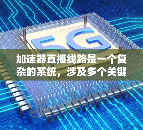 加速器直播线路是一个复杂的系统，涉及多个关键部分，每个部分都有其独特的技术挑战和优化方法。以下是对加速器直播线路的详细分析和优化建议
