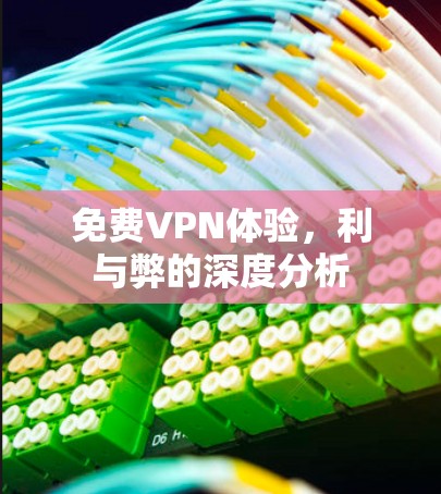 免费VPN体验,利与弊的深度分析 免费VPN体验,利与弊的深度分析
