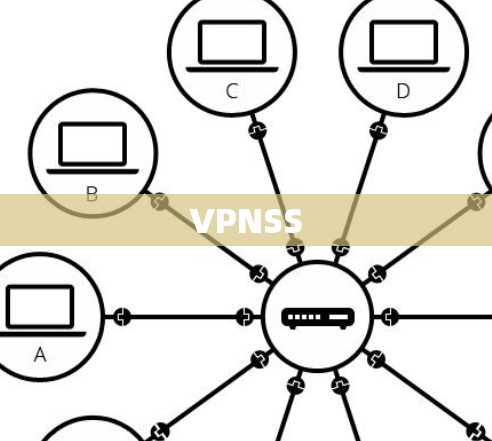 VPNSS VPNSS