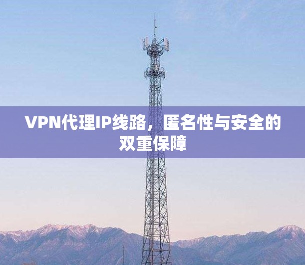 VPN代理IP线路,匿名性与安全的双重保障 VPN代理IP线路,匿名性与安全的双重保障