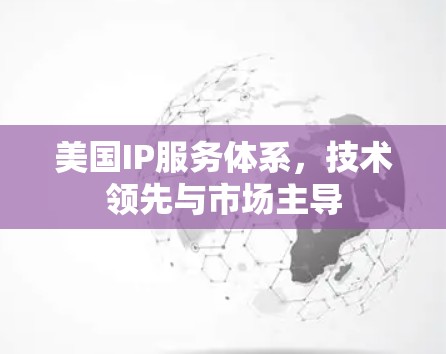 美国IP服务体系，技术领先与市场主导