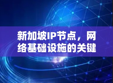 新加坡IP节点,网络基础设施的关键组成部分 新加坡IP节点,网络基础设施的关键组成部分