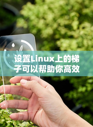 设置Linux上的梯子可以帮助你高效管理多个服务器的连接。下面是详细的步骤指南