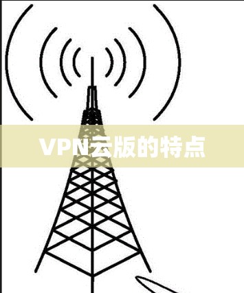 VPN云版的特点 VPN云版的特点