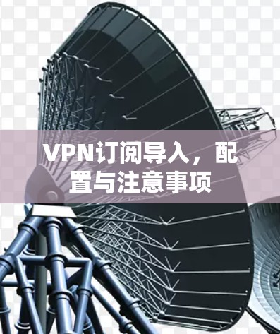 VPN订阅导入，配置与注意事项