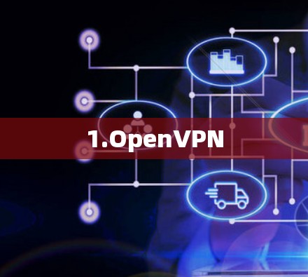 1.OpenVPN 1.OpenVPN