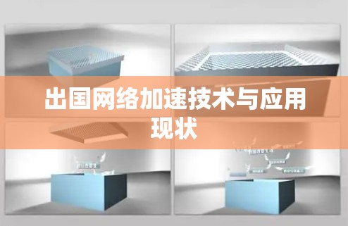 出国网络加速技术与应用现状