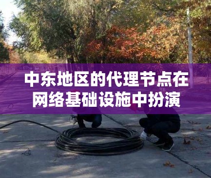 中东地区的代理节点在网络基础设施中扮演着重要角色，主要用于优化数据传输和网络连接。以下是对中东代理节点的详细分析