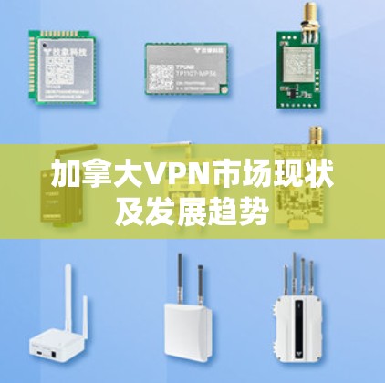 加拿大VPN市场现状及发展趋势 加拿大VPN市场现状及发展趋势