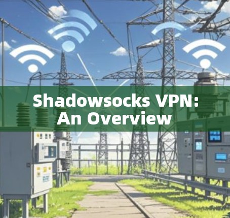 Shadowsocks VPN:An Overview