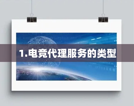 1.电竞代理服务的类型 1.电竞代理服务的类型