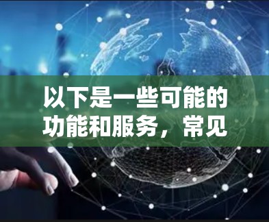 以下是一些可能的功能和服务，常见于全球网络连接平台