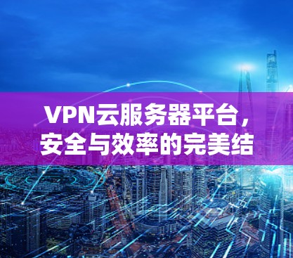 VPN云服务器平台,安全与效率的完美结合 VPN云服务器平台,安全与效率的完美结合