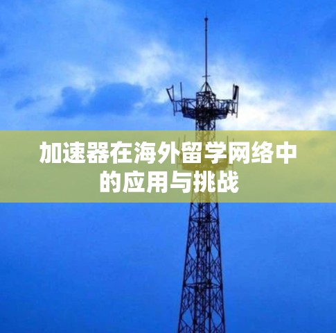 加速器在海外留学网络中的应用与挑战