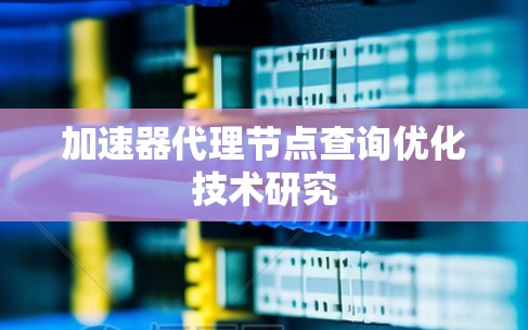 加速器代理节点查询优化技术研究 加速器代理节点查询优化技术研究