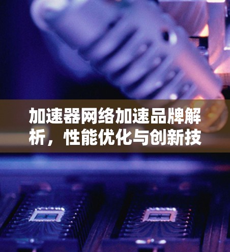 加速器网络加速品牌解析,性能优化与创新技术应用 加速器网络加速品牌解析,性能优化与创新技术应用