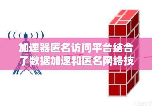 加速器匿名访问平台结合了数据加速和匿名网络技术，旨在为用户提供高效、安全的网络访问体验。以下是对该平台的详细分析