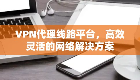 VPN代理线路平台，高效灵活的网络解决方案