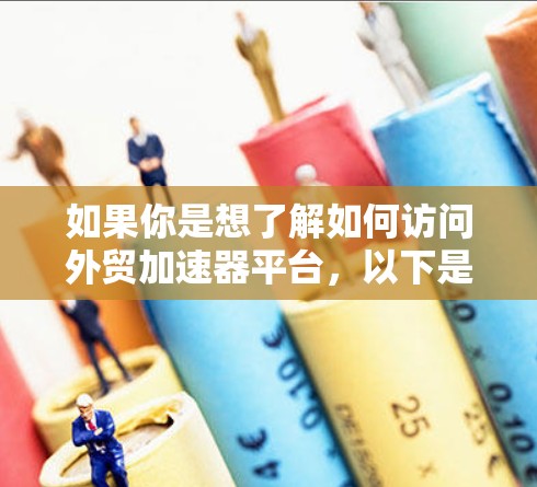 如果你是想了解如何访问外贸加速器平台，以下是一些可能的步骤和信息