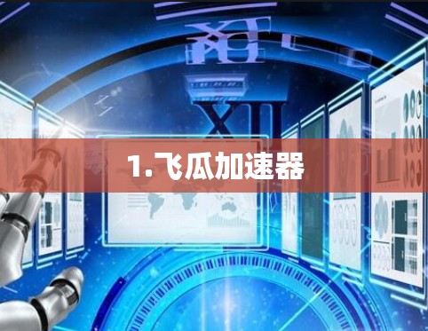 1.飞瓜加速器 1.飞瓜加速器