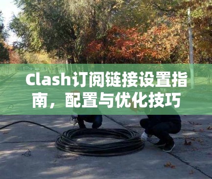 Clash订阅链接设置指南,配置与优化技巧 Clash订阅链接设置指南,配置与优化技巧