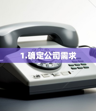 1.确定公司需求 1.确定公司需求